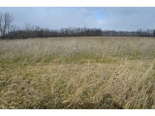 Property photo 7 - 127 Acres Offered in 8 Tracts - Allen & Dekalb County Land